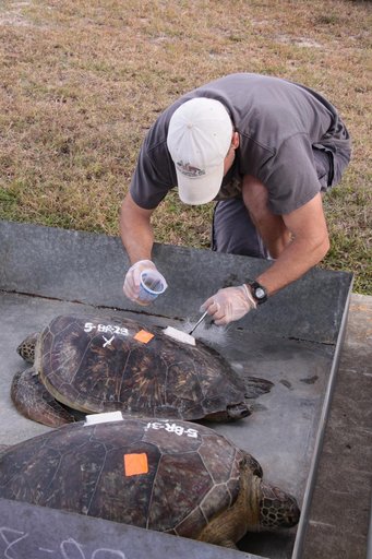 KSC-2010-1272