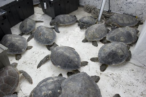 KSC-2011-1010