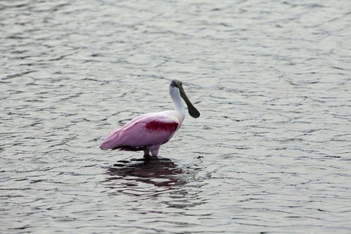 KSC-2011-1029
