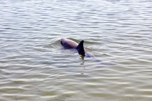 KSC-2012-3042