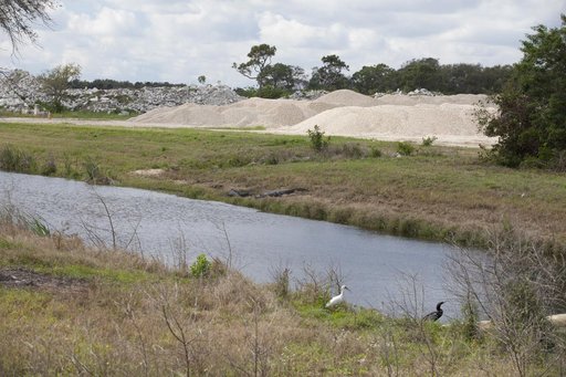 Various Wildlife Around Schwartz Rd.