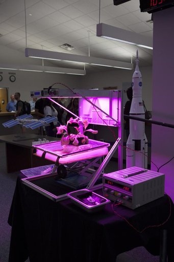 KSC-2014-2035
