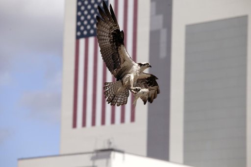 KSC-2014-2848