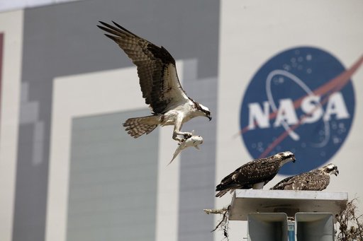 KSC-2014-2849