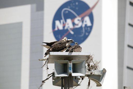 KSC-2014-2850