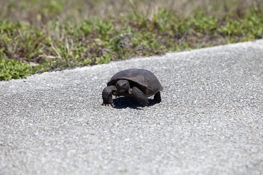 KSC-2014-2851
