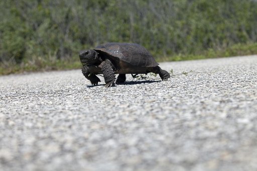 KSC-2014-2852