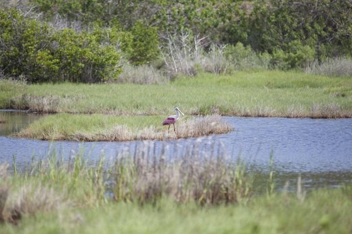 KSC-2014-2919
