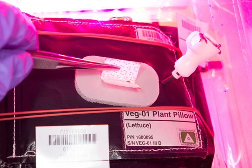 Flight Photos - VEG-01B Day 7 GMT 196 Thinning