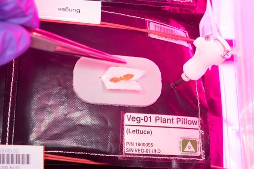 Flight Photos - VEG-01B Day 7 GMT 196 Thinning