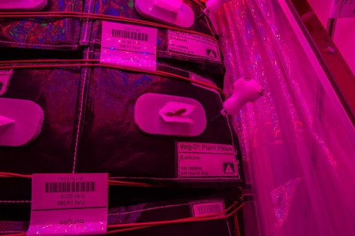 Flight Photos - VEG-01B Day 8 GMT 197