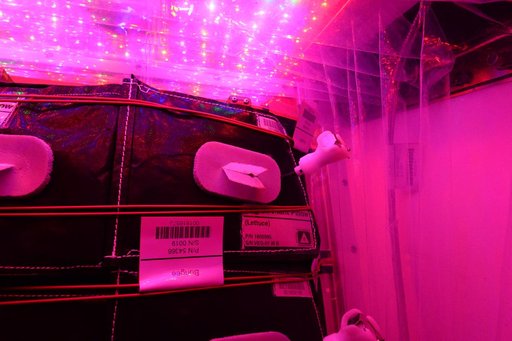 Flight Photos - VEG-01B Day 11 GMT 200