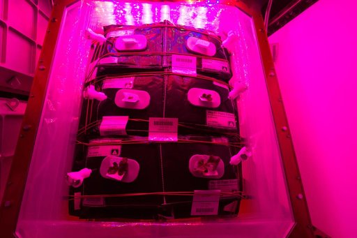 Flight Photos - VEG-01B Day 13 GMT 202