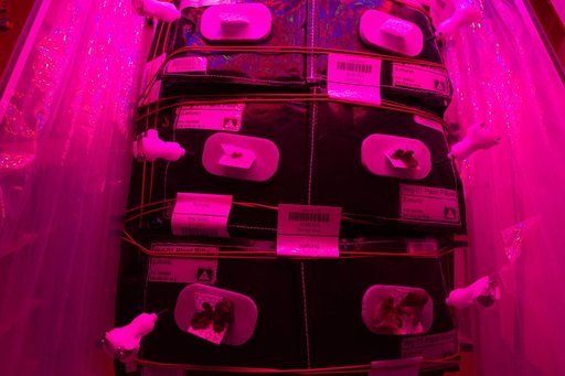Flight Photos - VEG-01B Day 13 GMT 202
