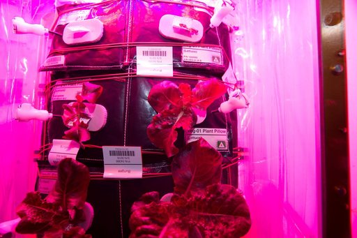 Flight Photos - VEG-01B Day 25
