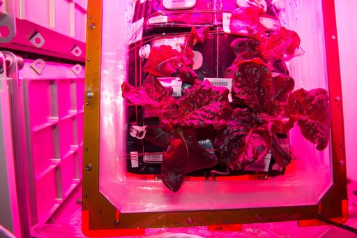 Flight Photos - VEG-01B Day 28