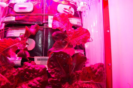 Flight Photos - VEG-01B Day 28
