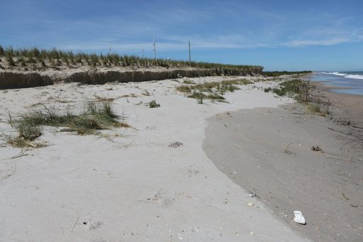Hurricane Matthew Damage Survey