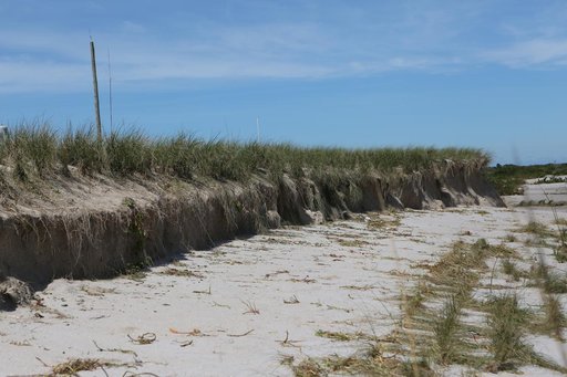 Hurricane Matthew Damage Survey