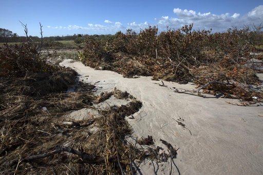 DART Support for Hurricane Matthew