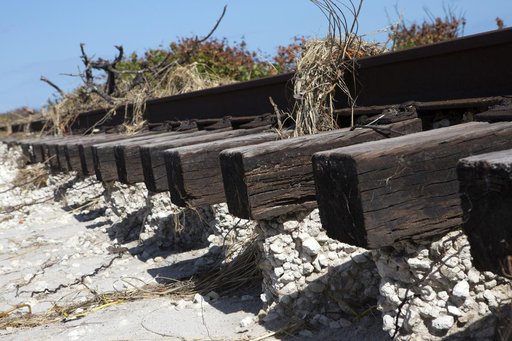 DART Support for Hurricane Matthew
