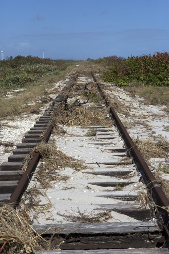 DART Support for Hurricane Matthew