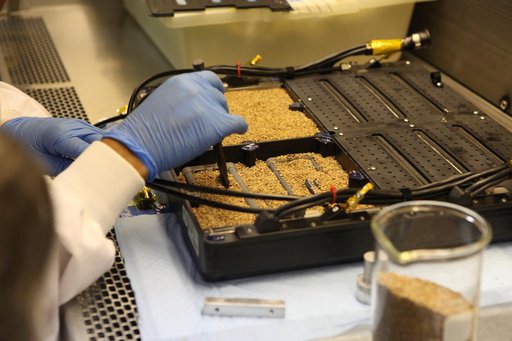 Advanced Plant Habitat - Packing and Planting Seeds