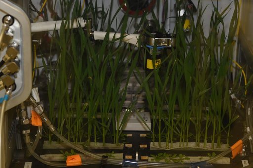 Advanced Plant Habitat (APH)
