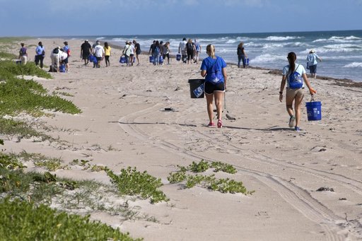 Beach Clean-Up near Historic Beach House