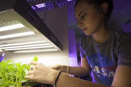 Training the Future - Interns Harvesting & Testing Plant Experim
