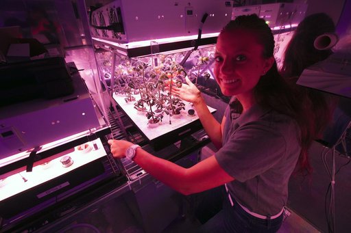 Training the Future - Interns Harvesting & Testing Plant Experim