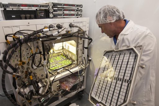 Advanced Plant Habitat Test Harvest