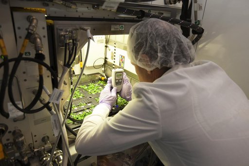 Advanced Plant Habitat Test Harvest