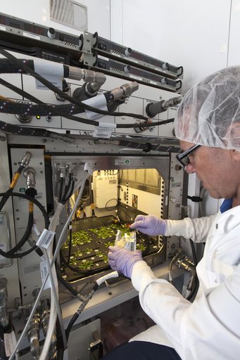 Advanced Plant Habitat Test Harvest