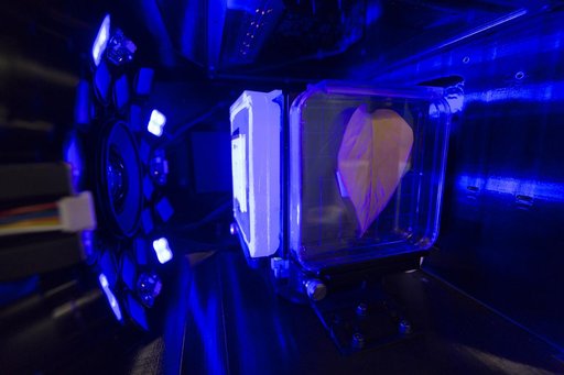 Spectrum Project