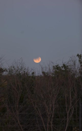 Creative Photography - Moon