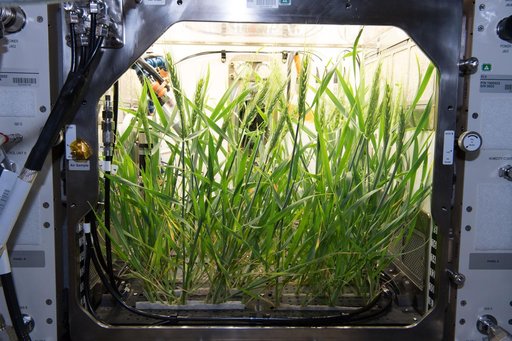 Advanced Plant Habitat