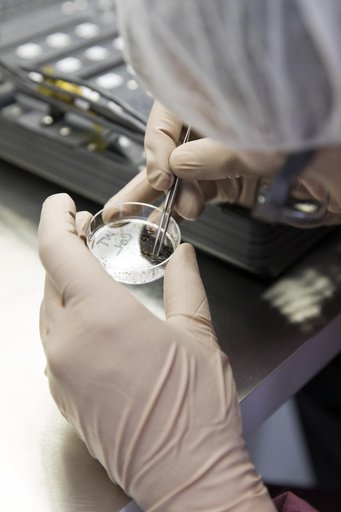 Advanced Plant Habitat (APH) Seed Planting