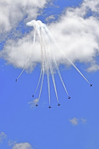 NASA and Canadian Snowbirds Aircrafts