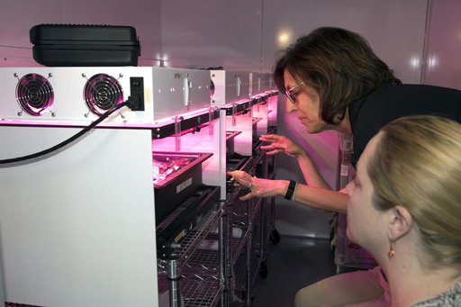 Algae Bioreactor and Plant Growth Tour