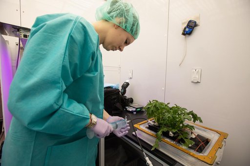 Growing Food in Space Veg-04B Harvest
