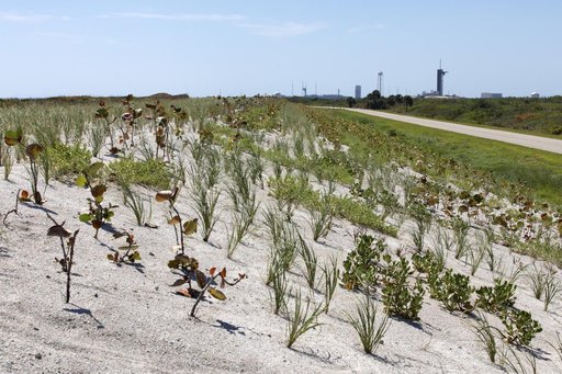 Shoreline Restoration Project