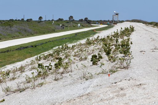 Shoreline Restoration Project