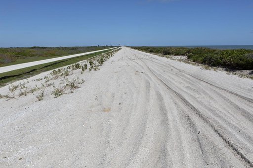 Shoreline Restoration Project
