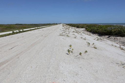 Shoreline Restoration Project