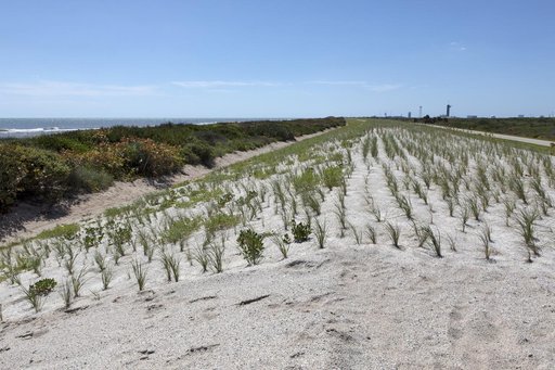 Shoreline Restoration Project