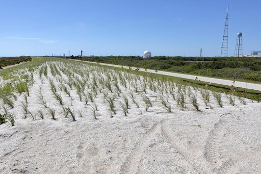 Shoreline Restoration Project