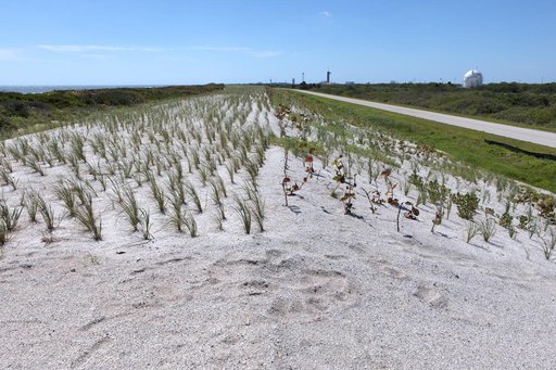 Shoreline Restoration Project