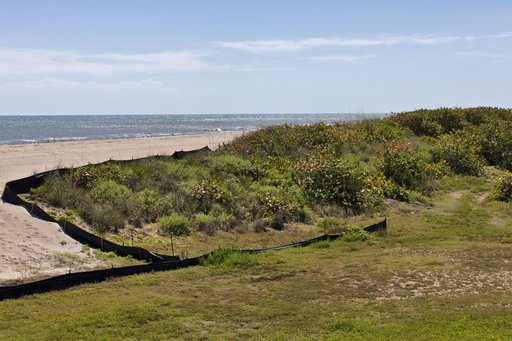 Shoreline Restoration Project