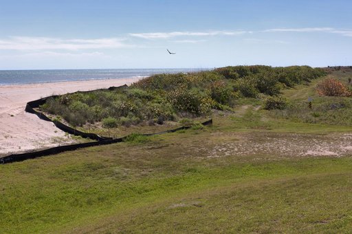 Shoreline Restoration Project
